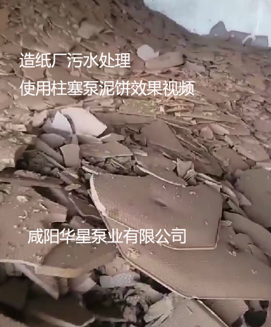 造紙廠污水處理使用柱塞泵泥餅效果視頻
